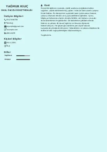 Okul Öncesi Öğretmeni Öğretmenliği Cv Örnekleri cv indir